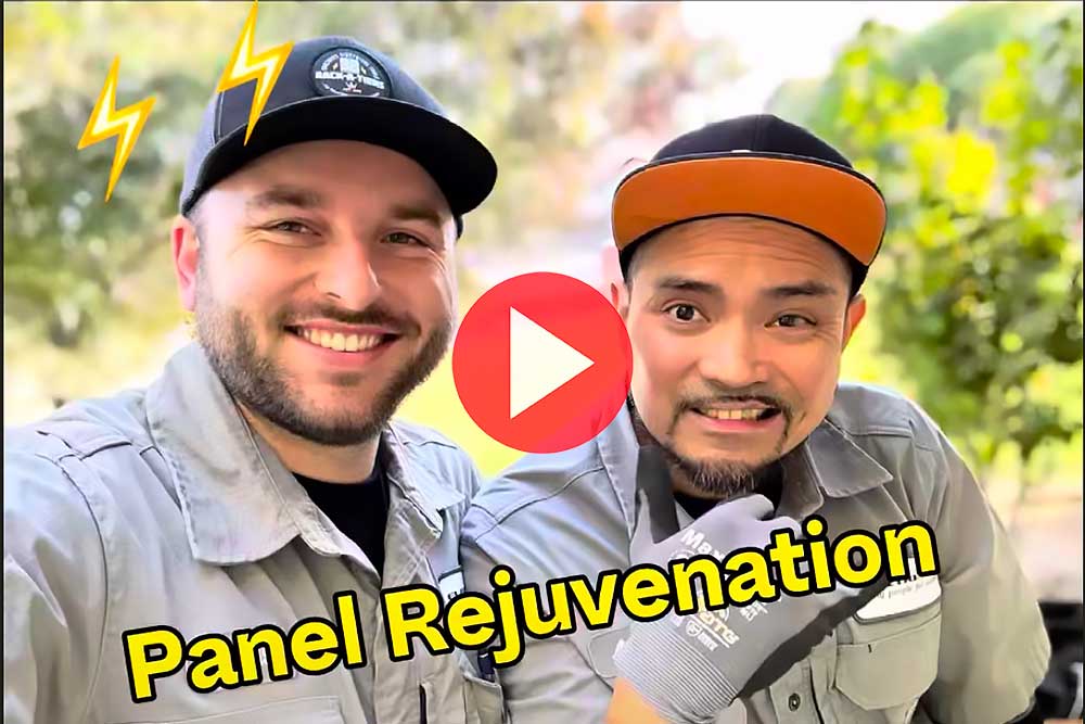 Panel Rejuvenation: Unveiling the Electrical Revival! | Electricode